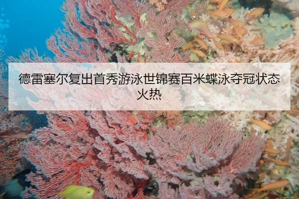 de-lei-sai-er-fu-chu-shou-xiu-you-yong-shi-jin-sai-bai-mi-die-yong-duo-guan-zhuang-tai-huo-re-2-219.jpg