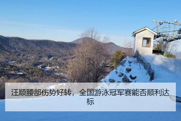 汪顺腰部伤势好转，全国游泳冠军赛能否顺利达标